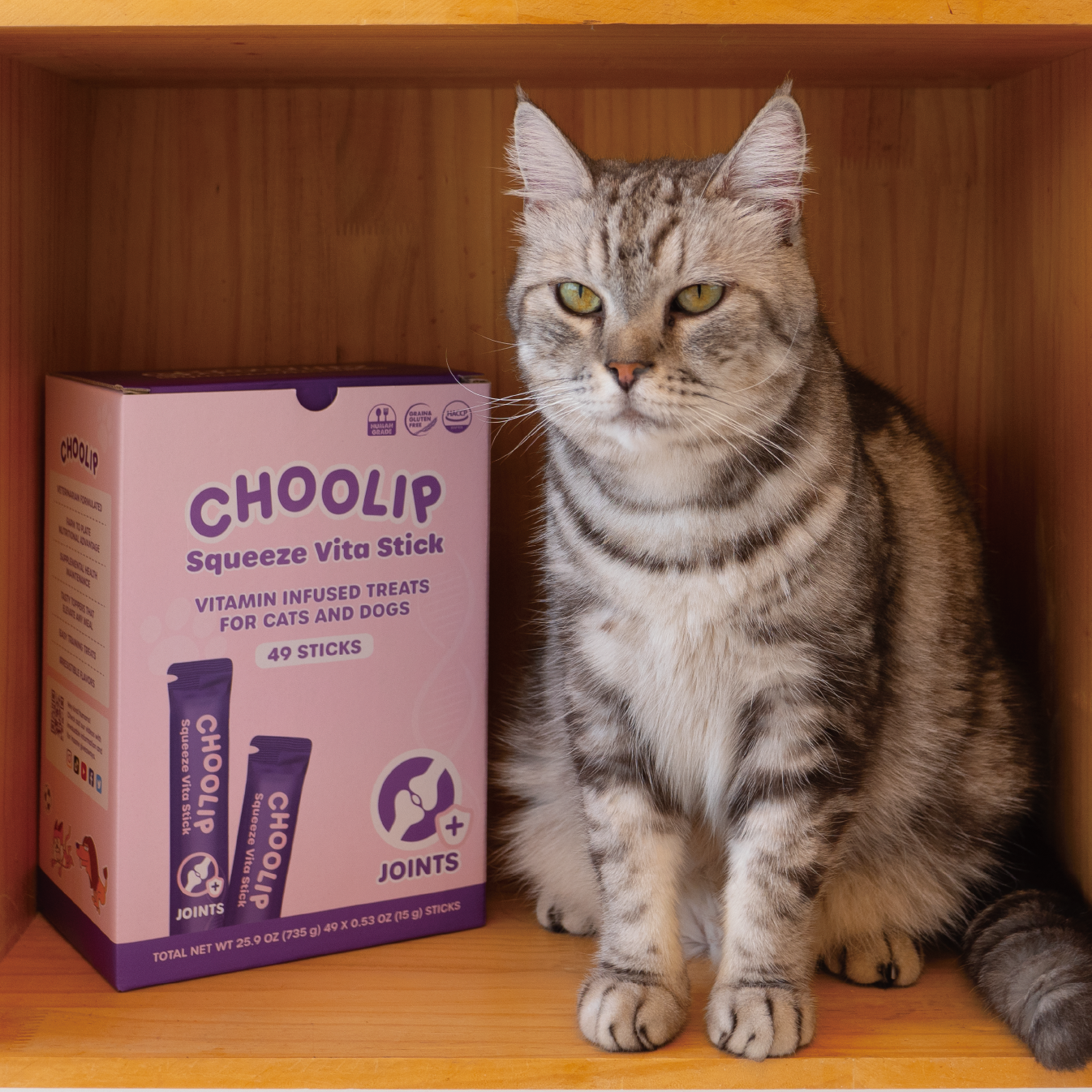 joint_box_cat