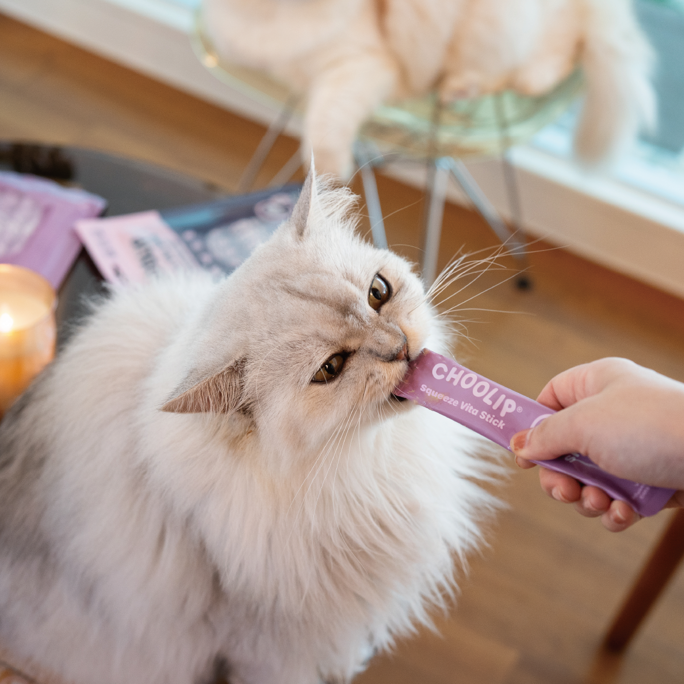 skin_stick_lickables_cat