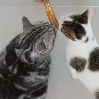 Squeeze Vita Stick Liver Pouch <br> 7 Sticks