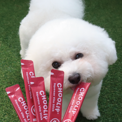 Squeeze Vita Stick Heart <br> 49 Sticks