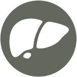 stick_liver_icon