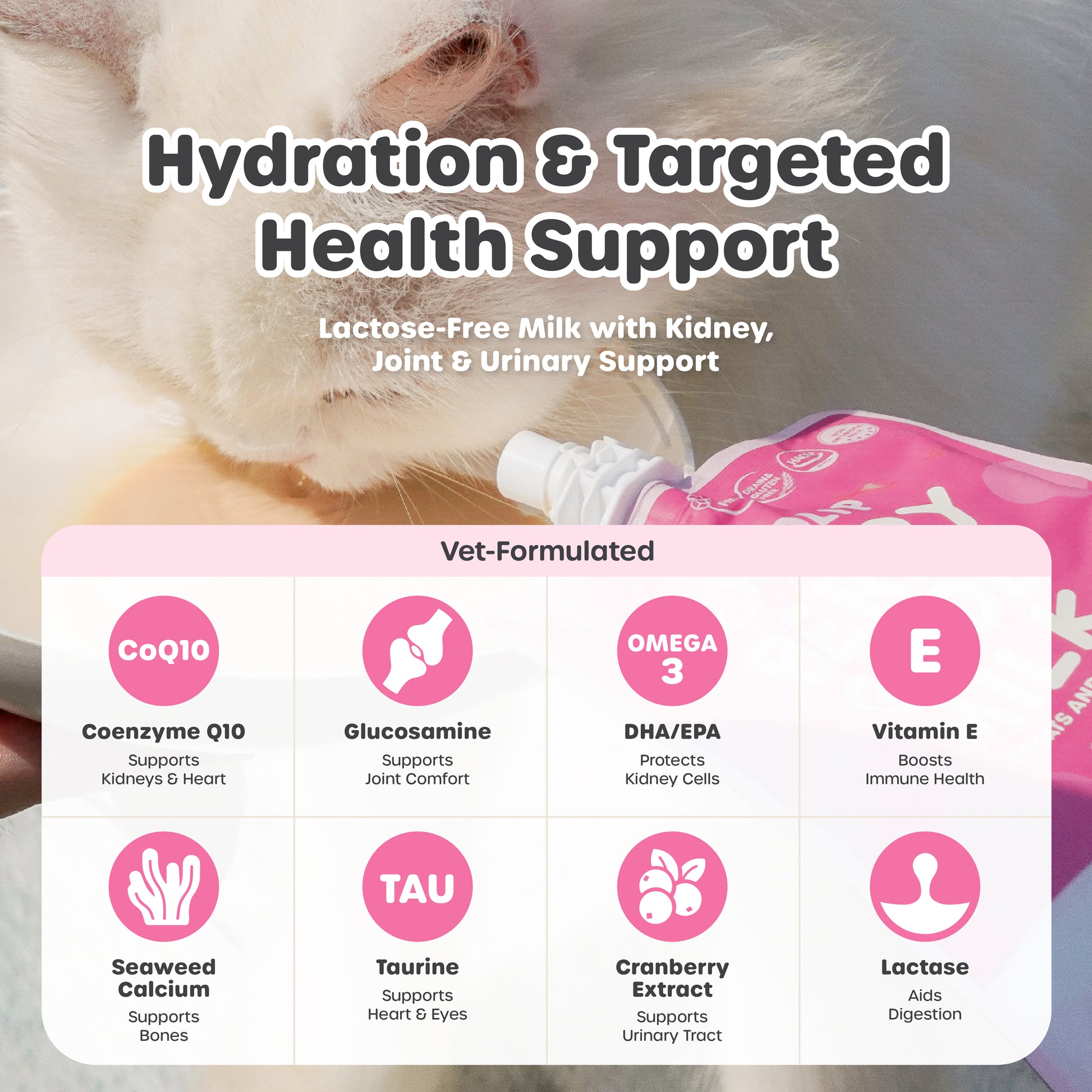 Cat drinking from a bottle labeled 'Hydration & Targeted Health Support' with ingredients listed on a pink background.