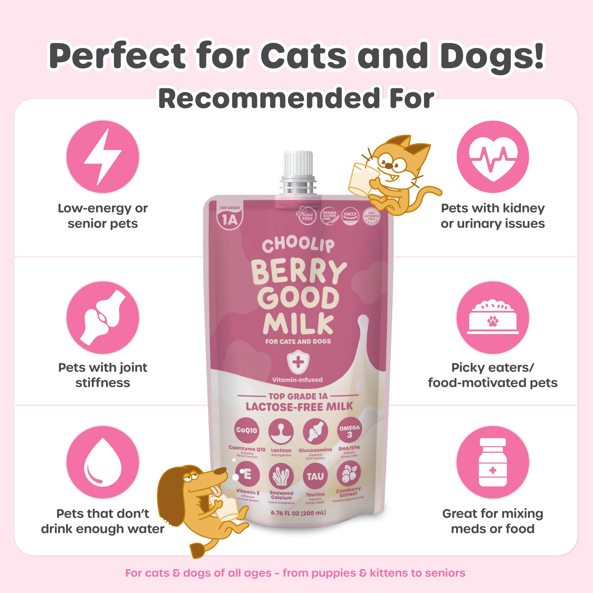 Choolip Berry Good Milk packaging with benefits listed on a pink background