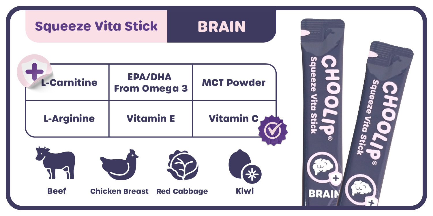 choolip_brain_information_ingredient_supplement