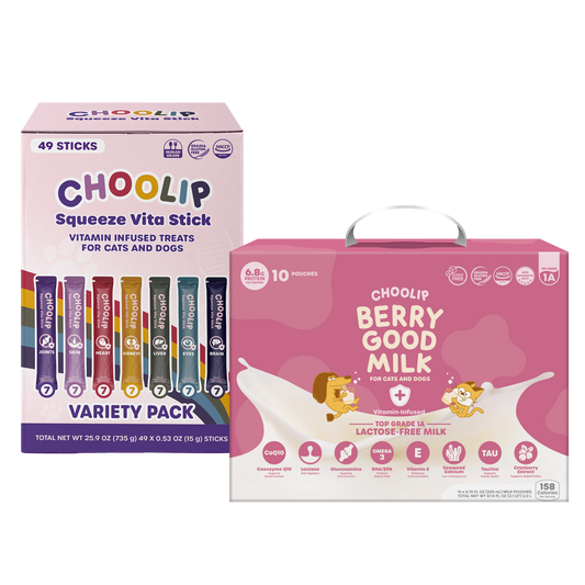 Best Sellers Box Bundle