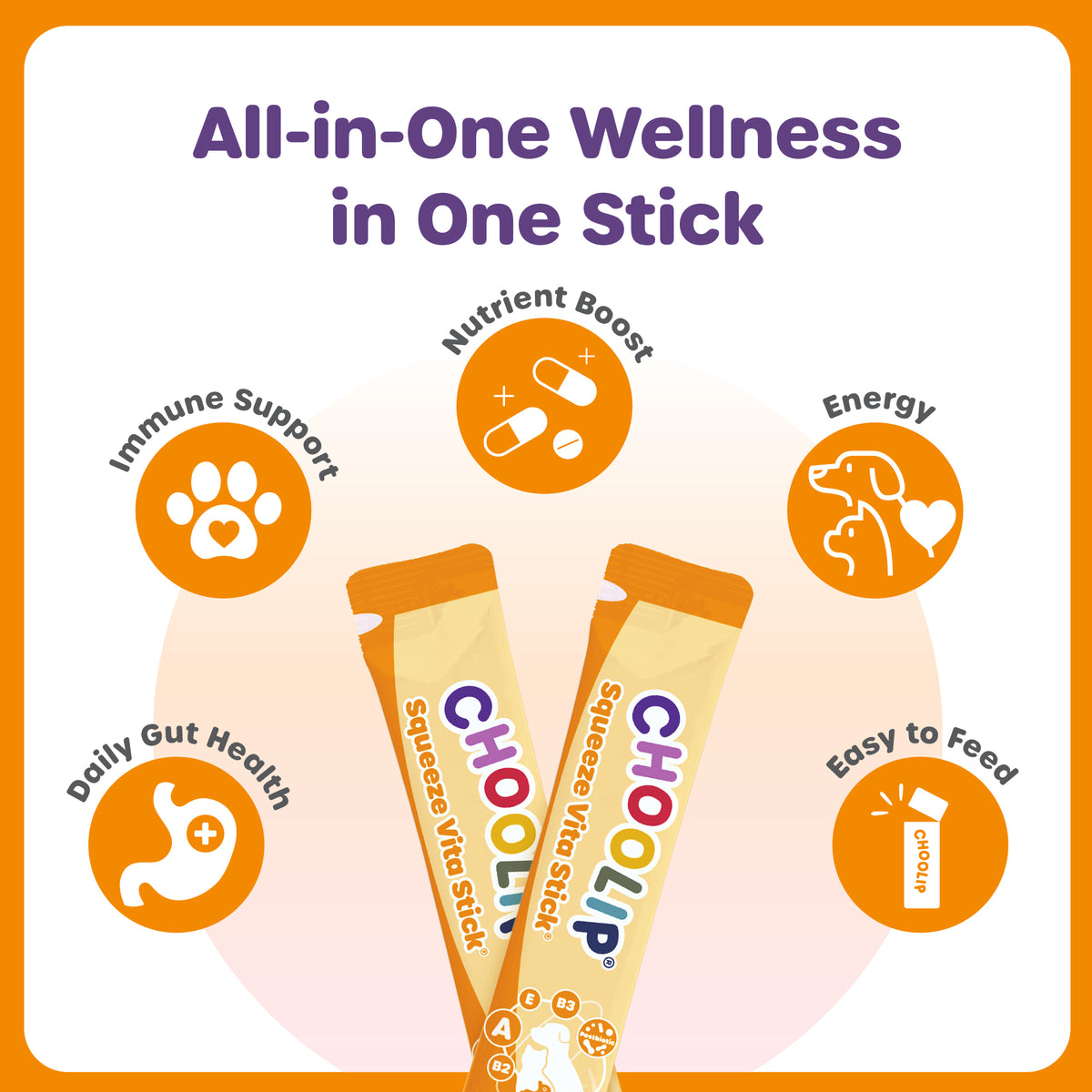 Choolip Trial Box: Berry Good Milk, Squeeze Vita Sticks & Total Balance for Cats & Dogs