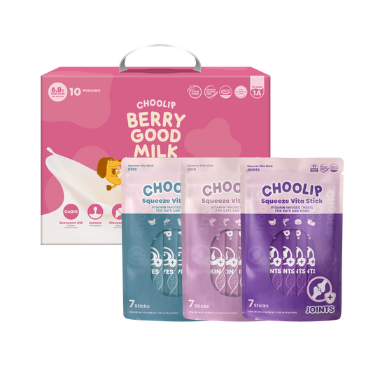Choolip Fall Wellness Bundle for cats and dogs with Berry Good Milk and Squeeze Vita Stick, 18% discount September limited edition pet wellness deal