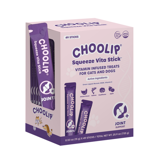 Squeeze Vita Stick Joints Grab & Go Box (49 Sticks)