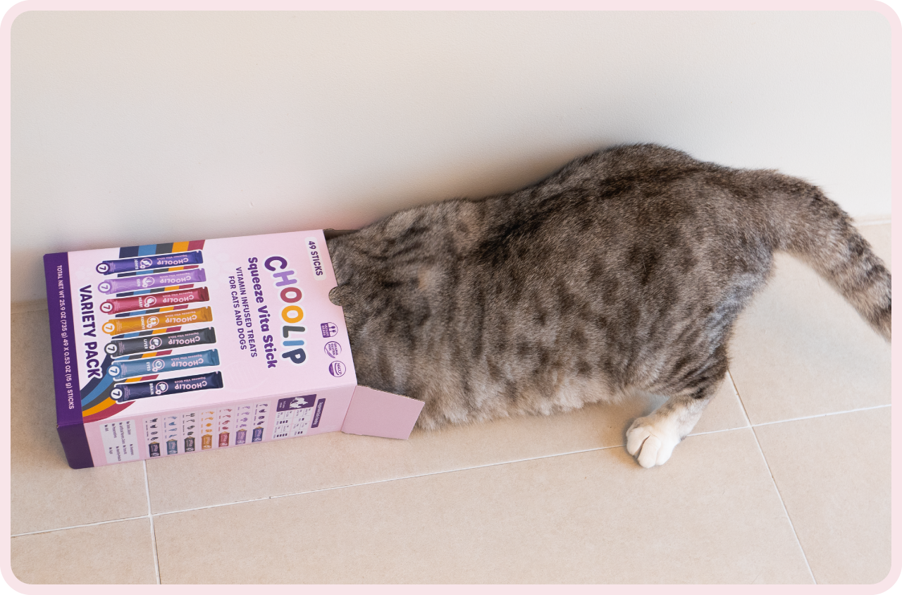 treats_stick_variety_box_cat
