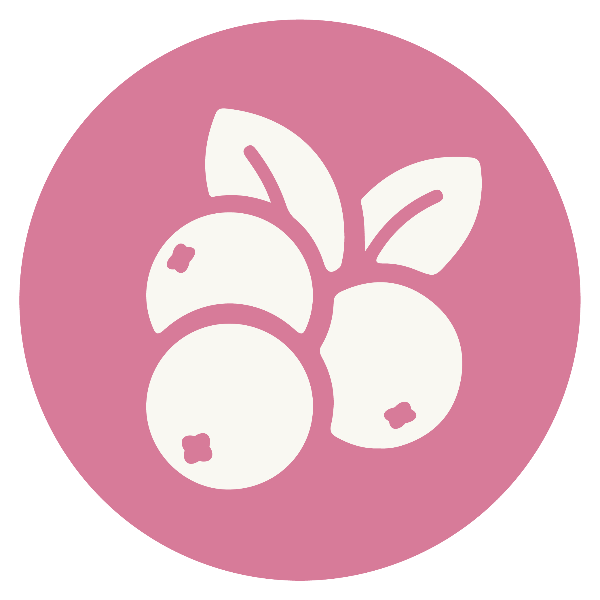 milk_icon_cranberry