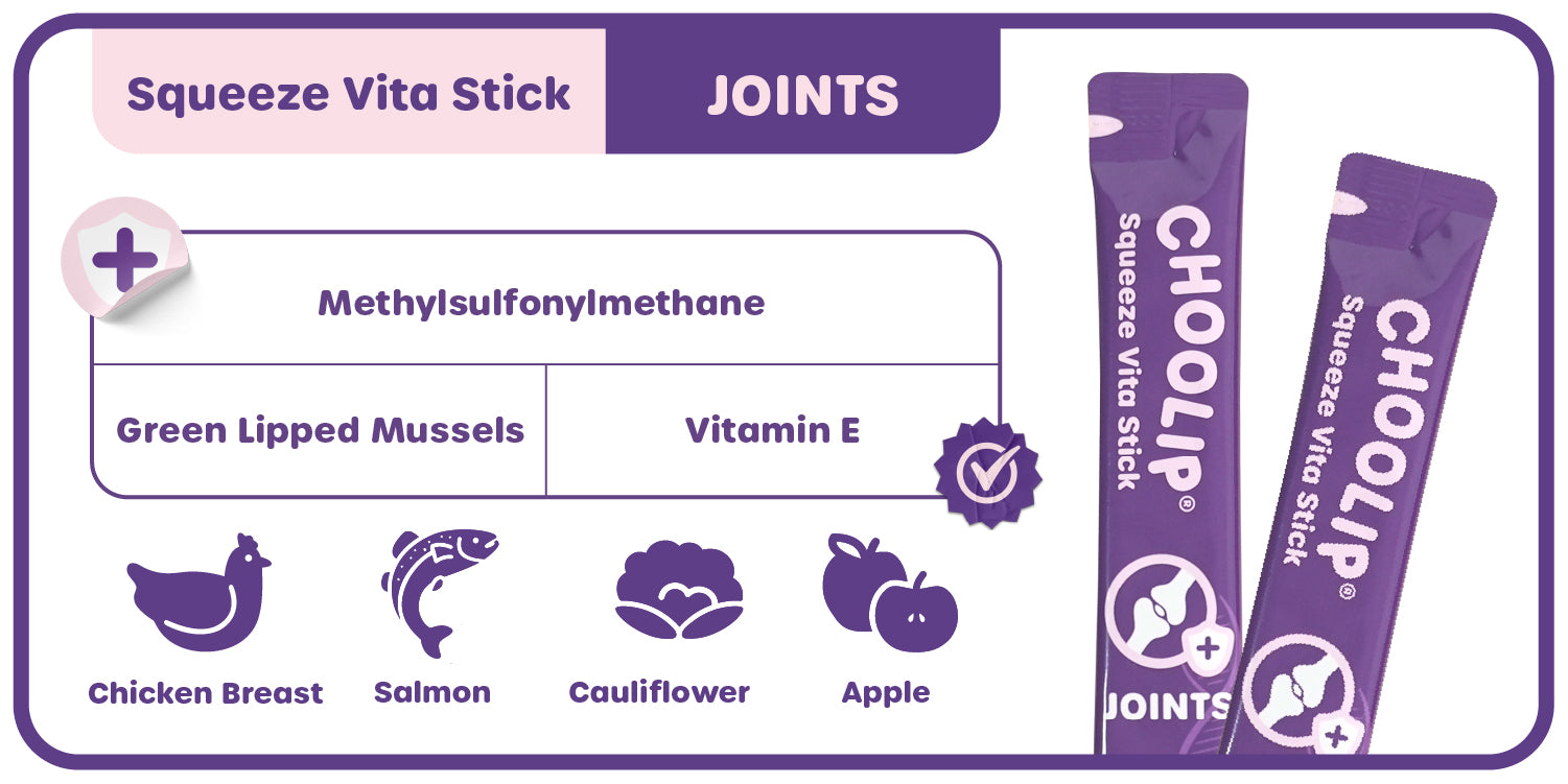 choolip_joints_information_ingredient_supplement