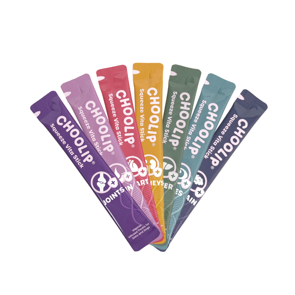 Squeeze Vita Stick Variety Grab & Go Box (49 Sticks)