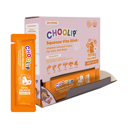 Choolip Squeeze Vita Stick with 40 g stick 
