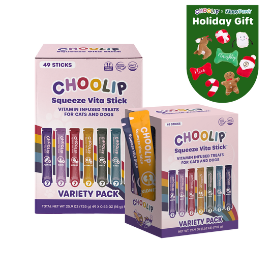 Squeeze Vita Sticks Variety 2-Box Bundle