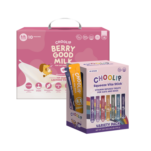 Best Sellers Box Bundle