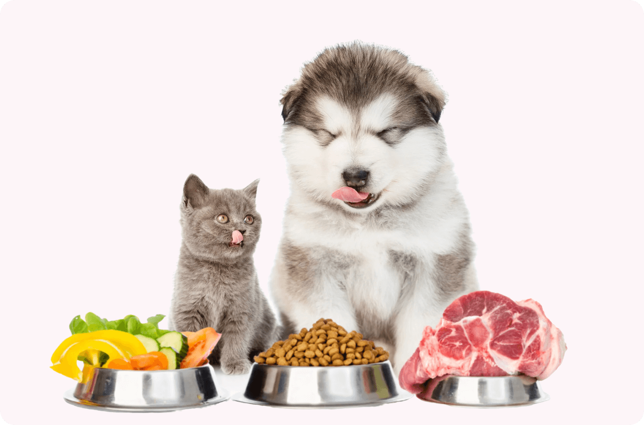 food_vitamin_supplement_healthy_fresh