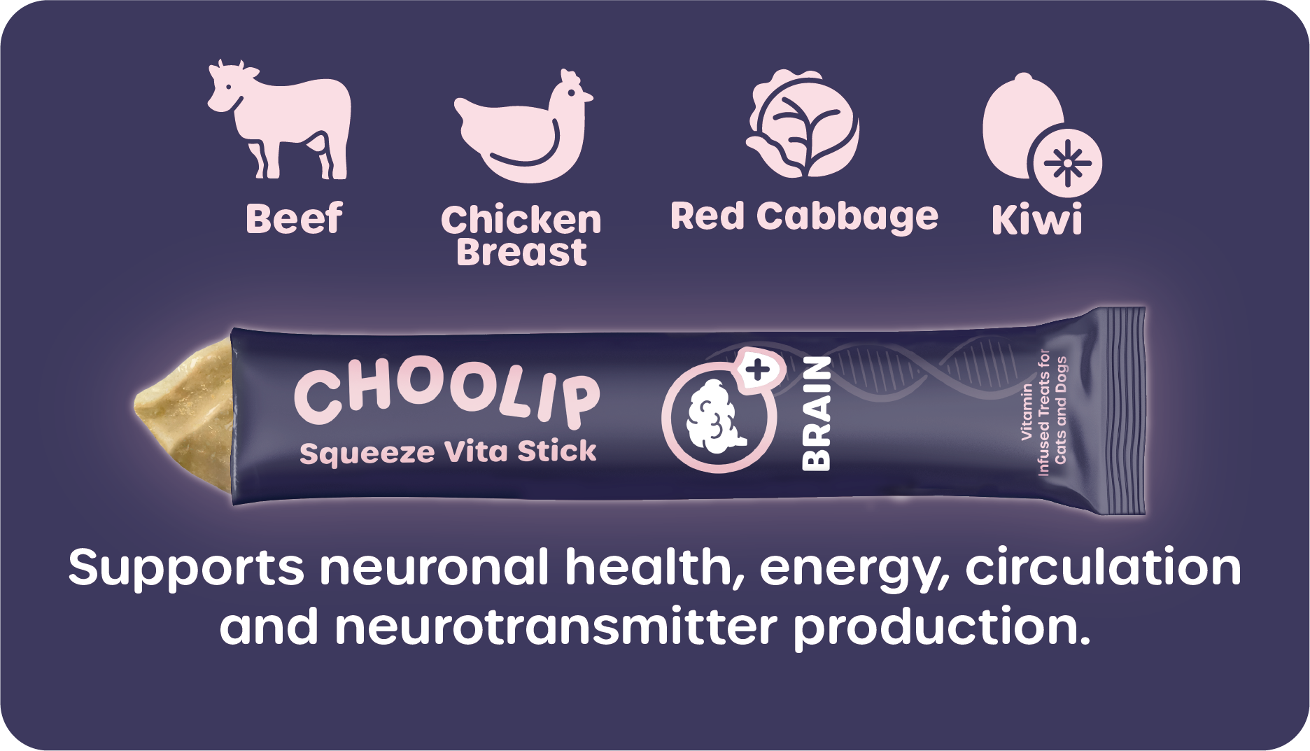 choolip_brain_information_support_ingredient