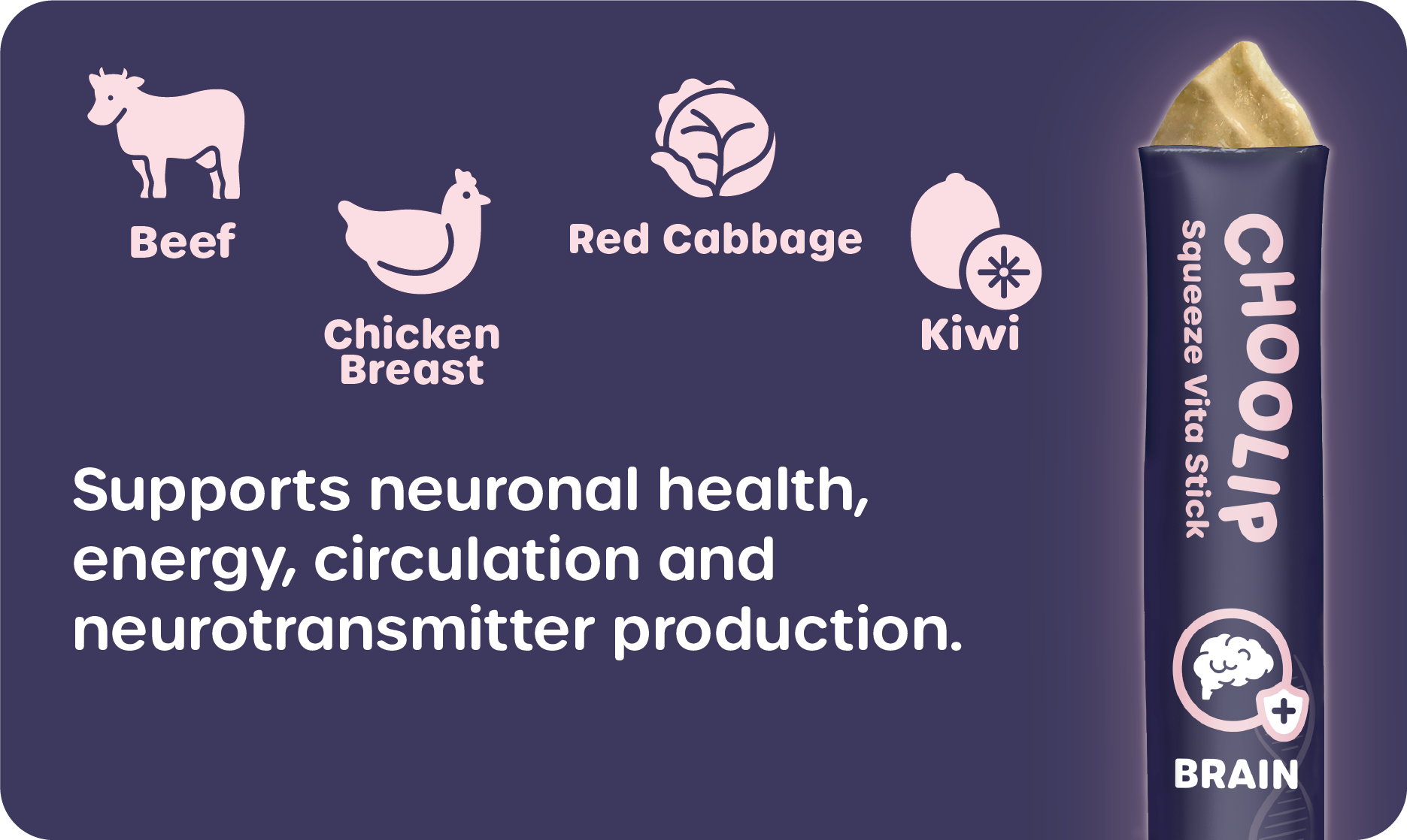 choolip_brain_information_support_ingredient