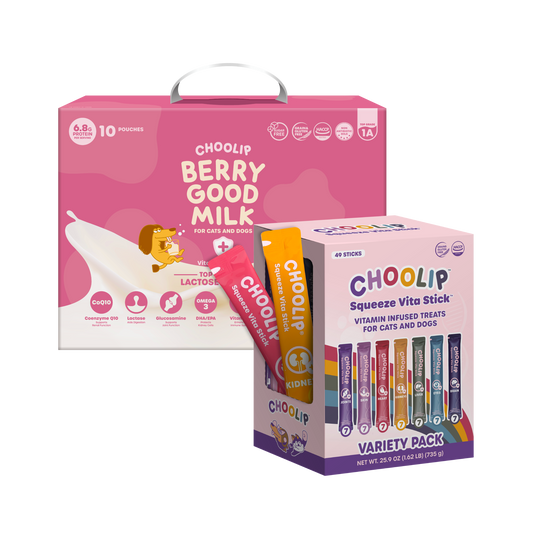 Best Sellers Box Bundle