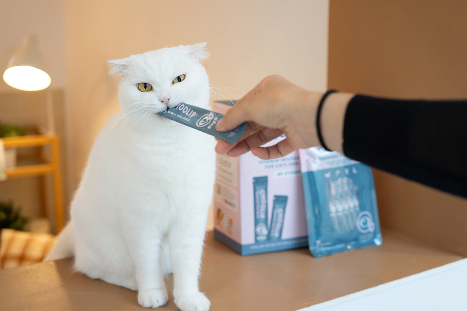 choolip_eye_sticks_cat