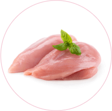 chicken_ingredient_fresh_icon