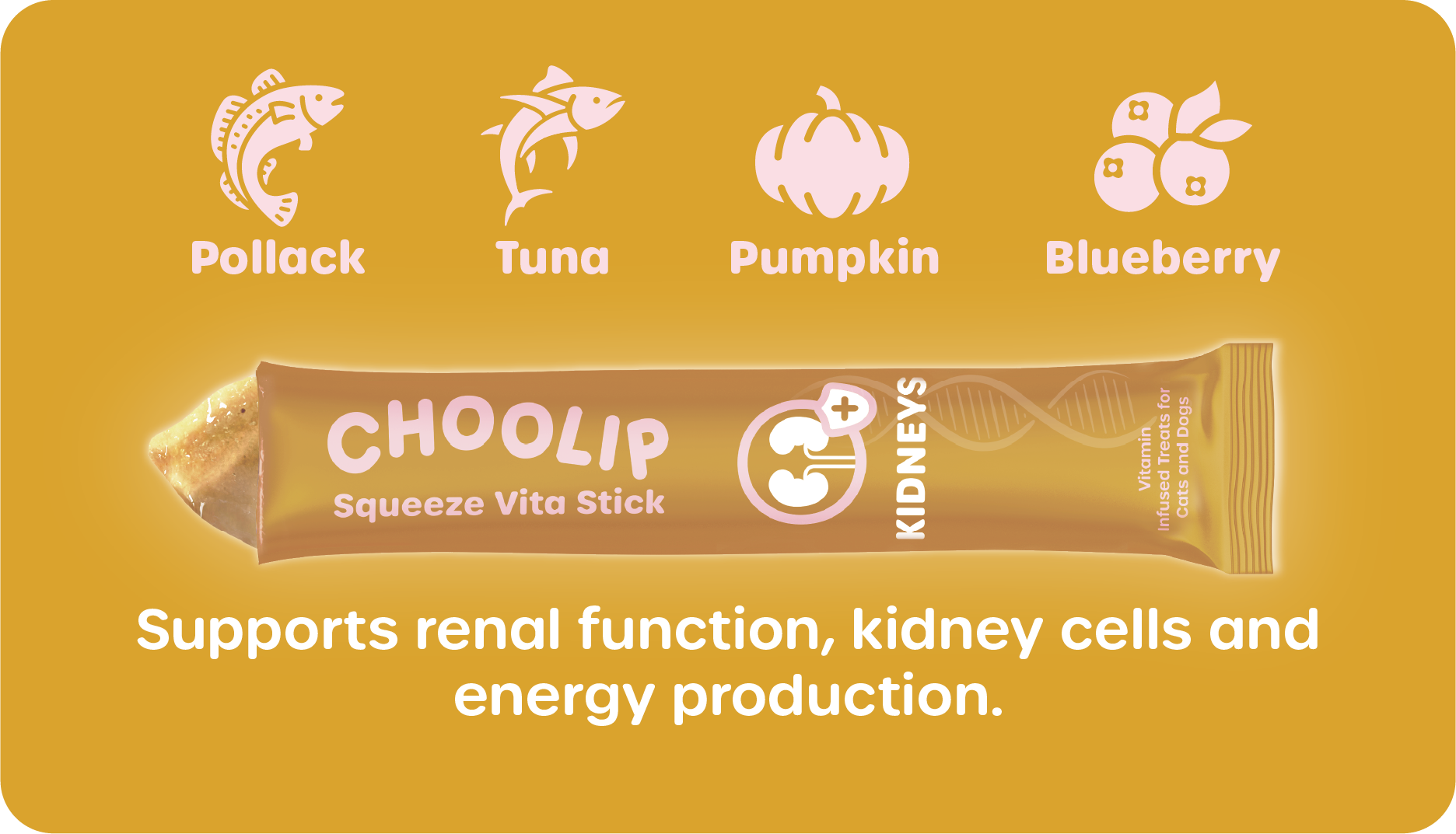 choolip_kidneys_information_support_ingredient