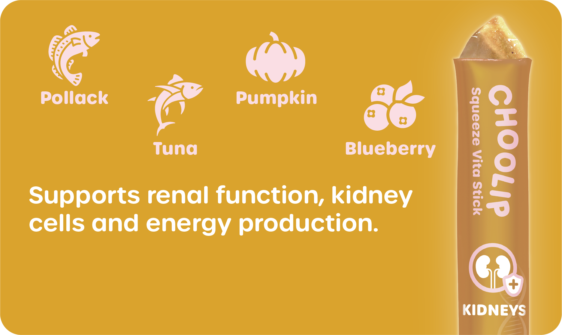 choolip_kidneys_information_support_ingredient