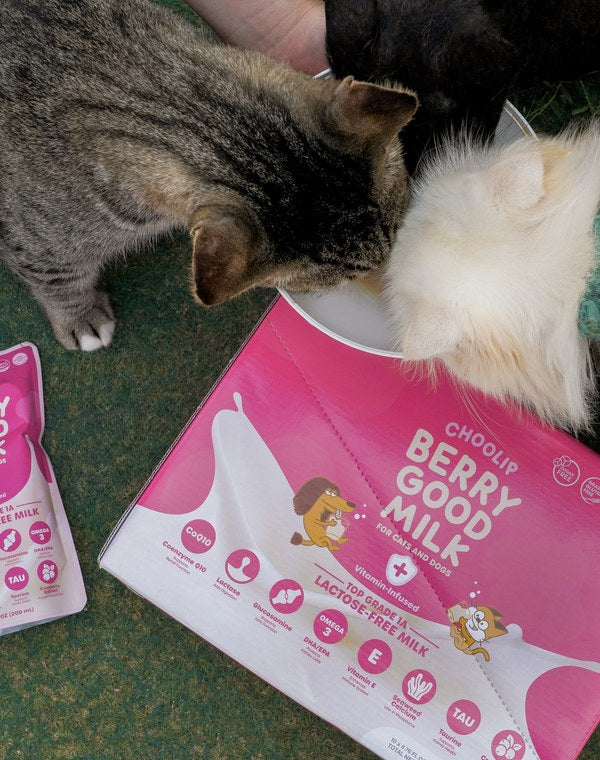 Berry Good Milk | 200ml x 10 Pouches (Family Size)