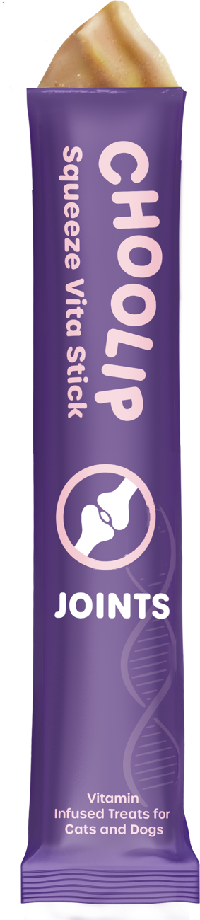 Squeeze Vita Stick Joints Grab & Go Box (49 Sticks)