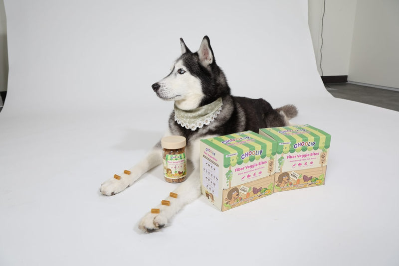 Fiber Veggie Bites (Box, 0.7 oz × 30 Pouches)
