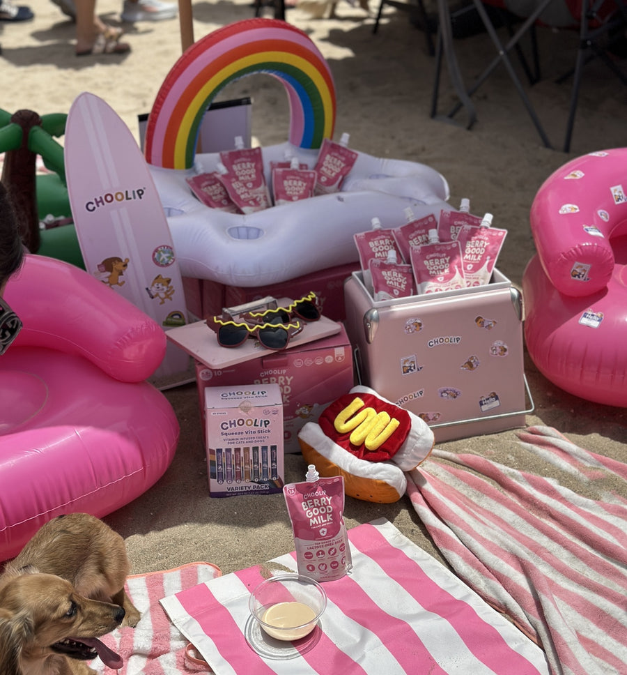 Beach day