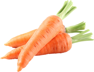 Carrot