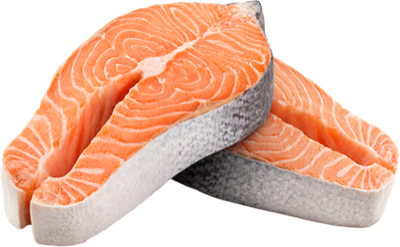 Salmon