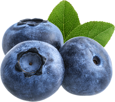 Blueberry
