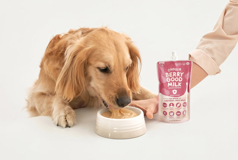 Berry Good Milk | 200ml x 10 Pouches (Family Size)