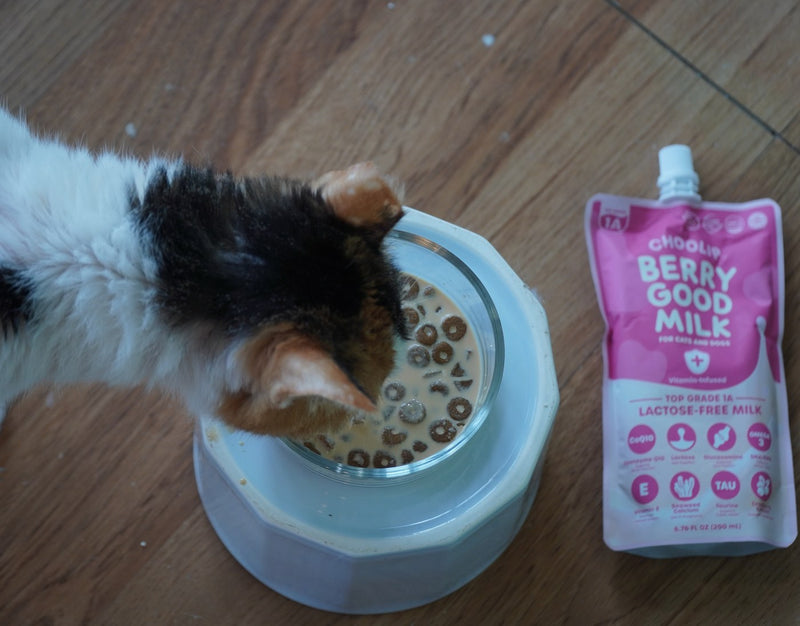 Berry Good Milk | 200ml x 10 Pouches (Family Size)