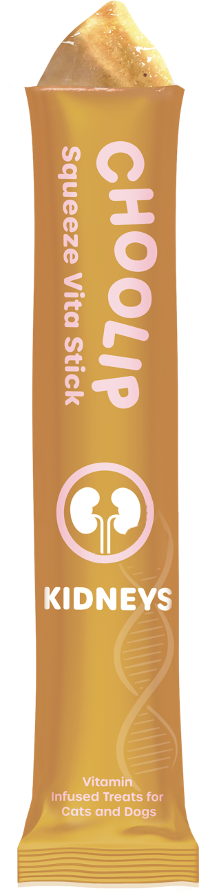 Squeeze Vita Stick Kidneys Grab & Go Box (49 Sticks)