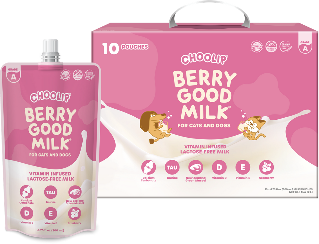 Berry Good Milk box of 10 pouches with one pouch in front