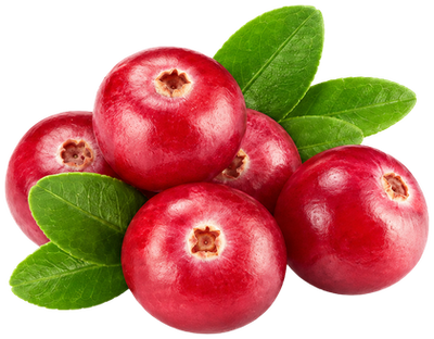 Cranberry