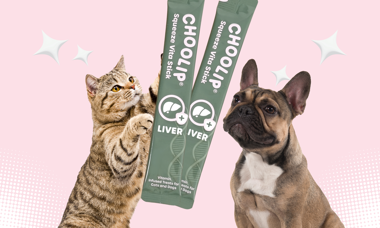treats_stick_tube_liver