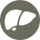 choolip_liver_logo