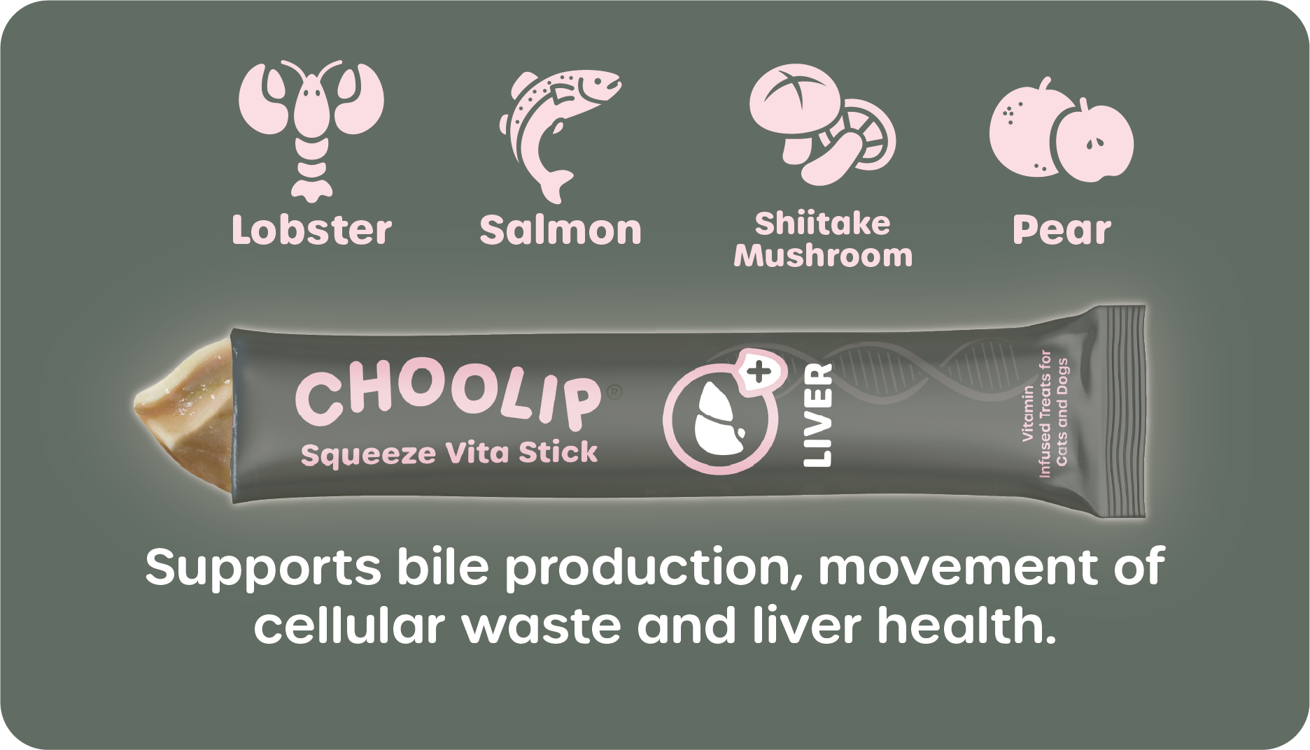 choolip_liver_information_support_ingredient