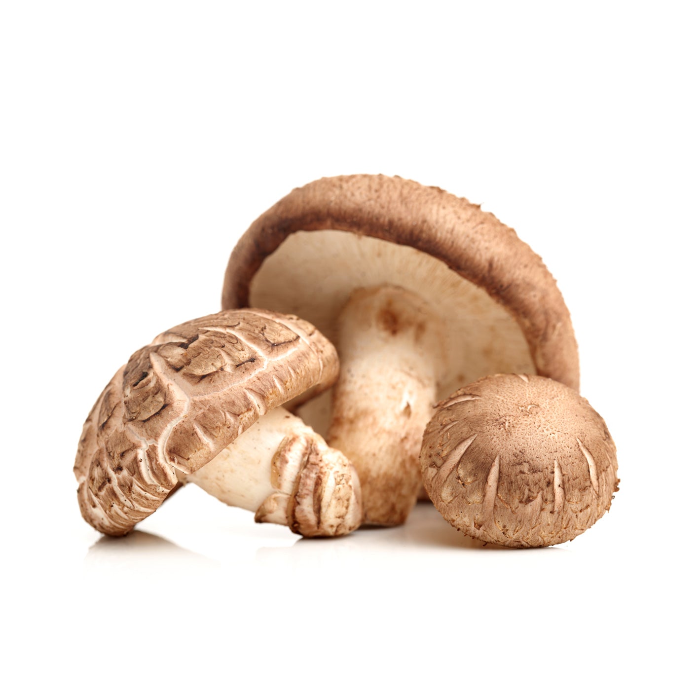 mushroom_ingredient_fresh_food