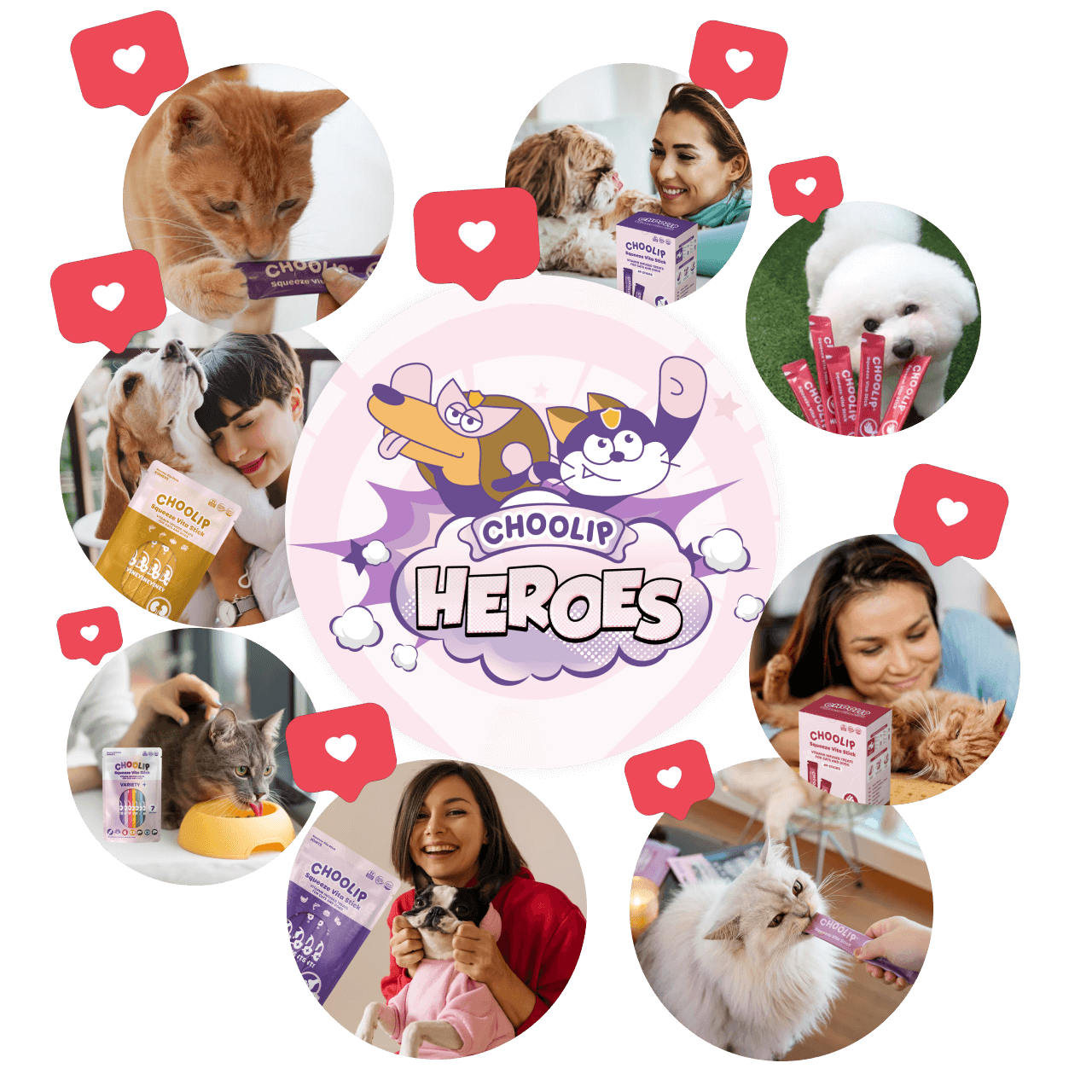 choolip_cats_dogs_images